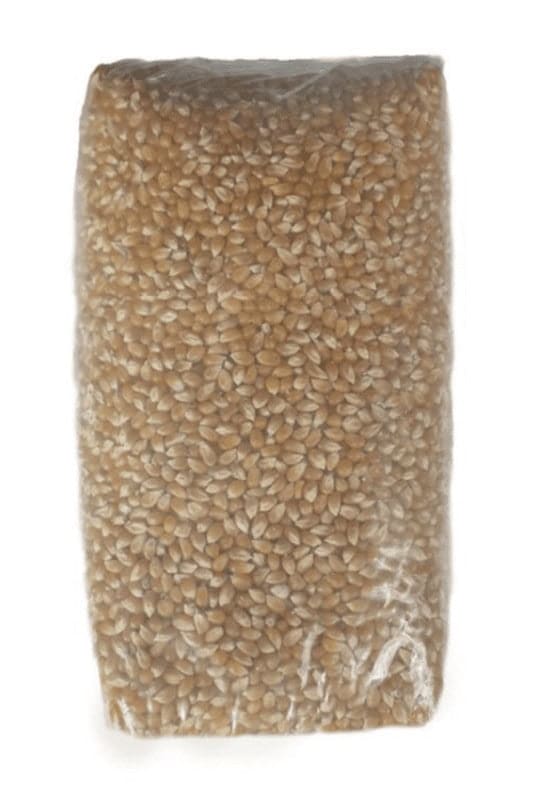 Popcorn Seeds 5kg Pack